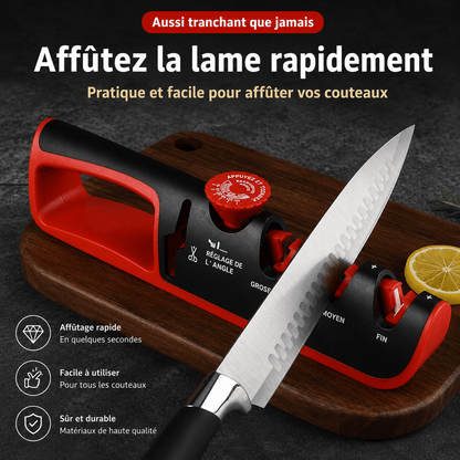 Aiguiseur Couteau 4 en 1 | Professionnel