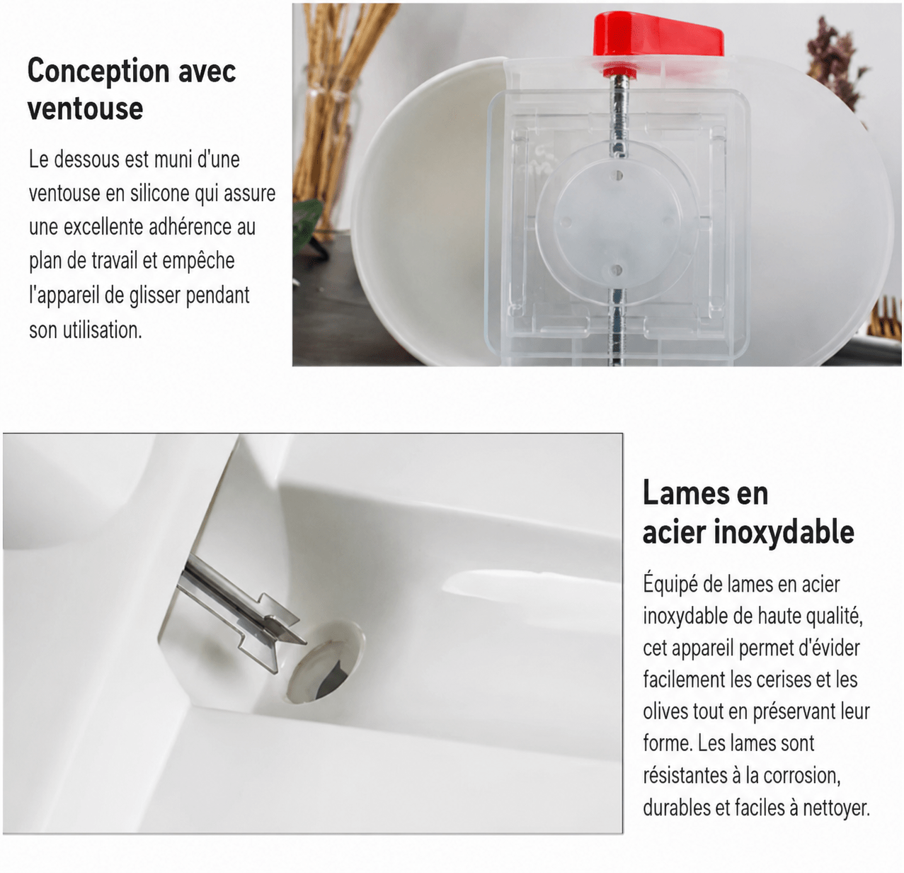 Dénoyauteur de cerises | Pratique et Rapide